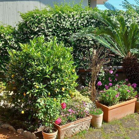 B&B Villa Noemi Formia Ngoại thất bức ảnh