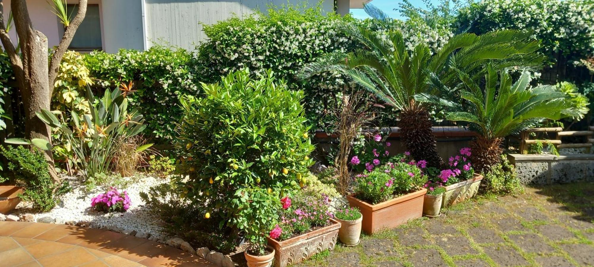 B&B Villa Noemi Formia Ngoại thất bức ảnh